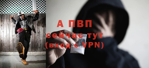 ПСИЛОЦИБИНОВЫЕ ГРИБЫ Верхний Тагил