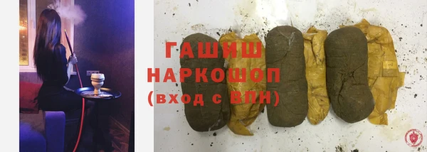шишки Верея