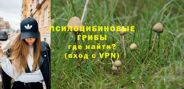 индика Волосово