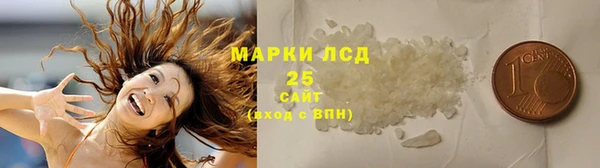прущий лед Бородино