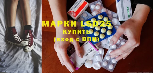 прущий лед Бородино