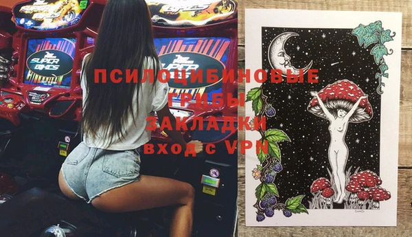 индика Волосово