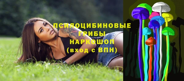 шишки Верея