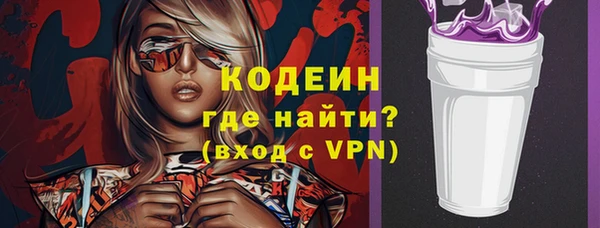 шишки Верея