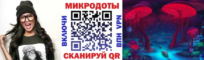 где продают   Зуевка  Псилоцибиновые грибы мицелий 
